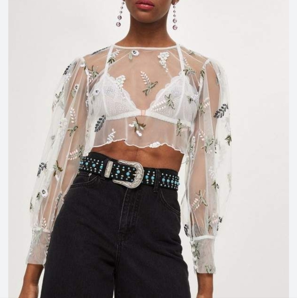 Women's Top Shop Shirt Sheer Tulle with Puff Sleeves Size 6 Embroidered TopShop